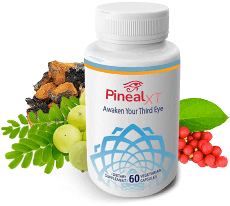 pineal xt 1 bottle