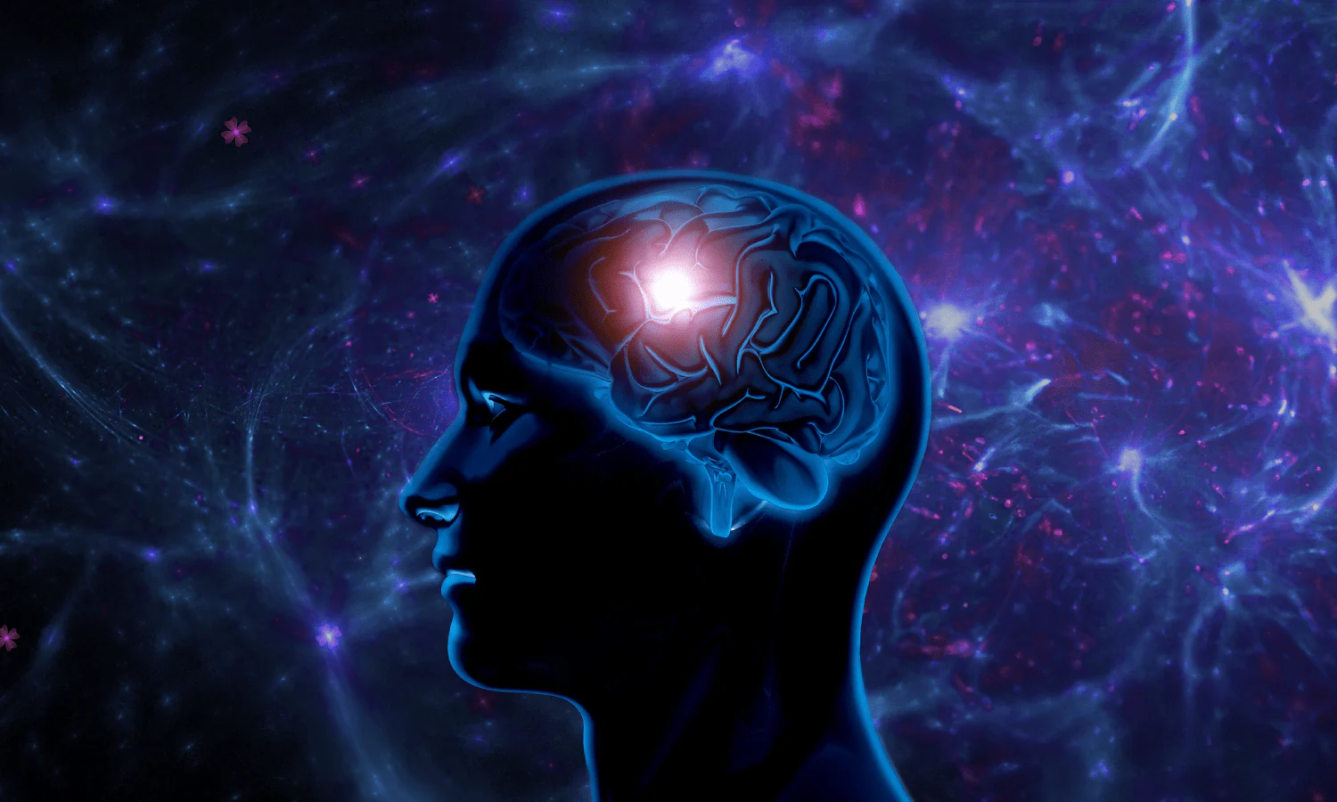 pineal xt creative